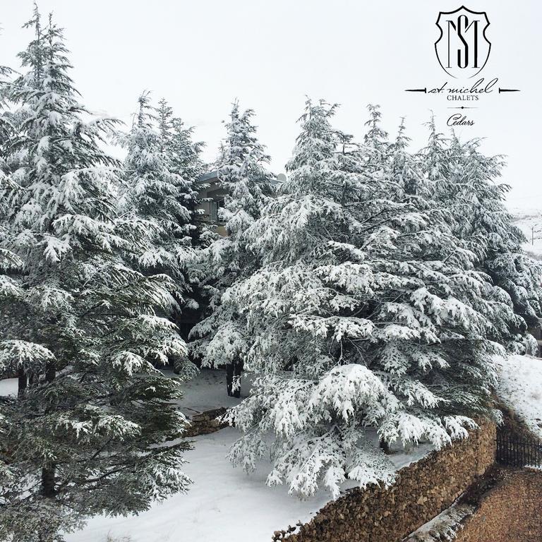 אל ארז Saint Michel Chalets מראה חיצוני תמונה