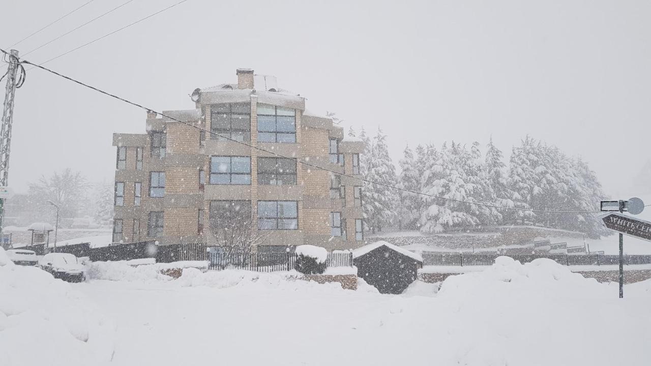 אל ארז Saint Michel Chalets מראה חיצוני תמונה